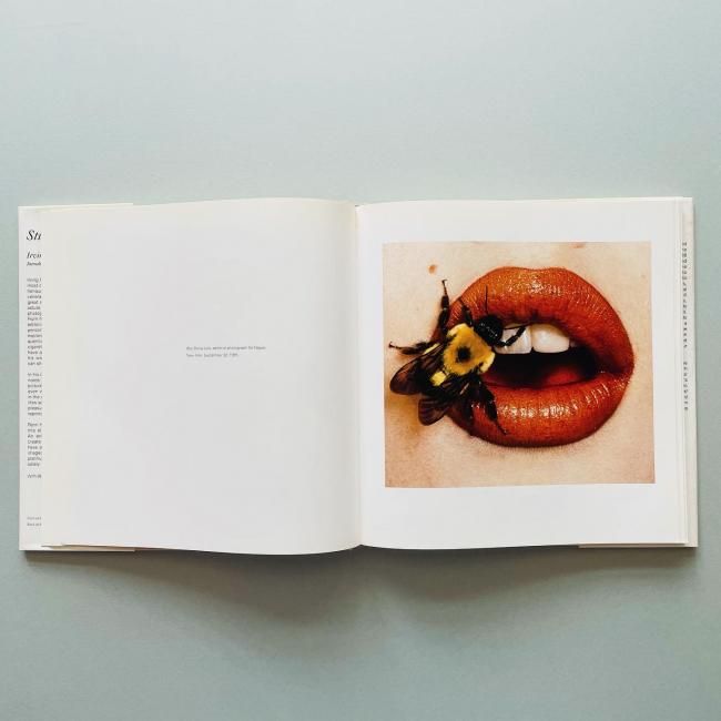 Irving Penn Still Life アーヴィングペン写真集 Still Life Irving Penn アーヴィングペン 写真集 - メルカリ