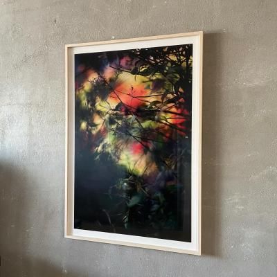 SIGNEDTerri Weifenbach<br>ƥꡦ磻եХå ץȺ<br>PRICE PLEASE ASK