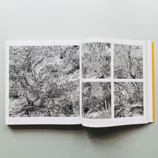Friedlander : The Museum of Modern Art|Lee Friedlander リー Friedlander : The Museum of Modern Art|Lee Friedlander リー
