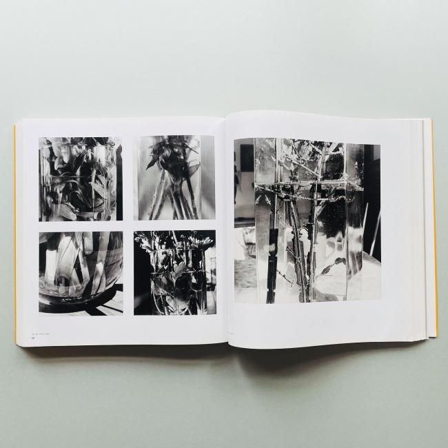 Friedlander : The Museum of Modern Art|Lee Friedlander リー Friedlander : The Museum of Modern Art|Lee Friedlander リー