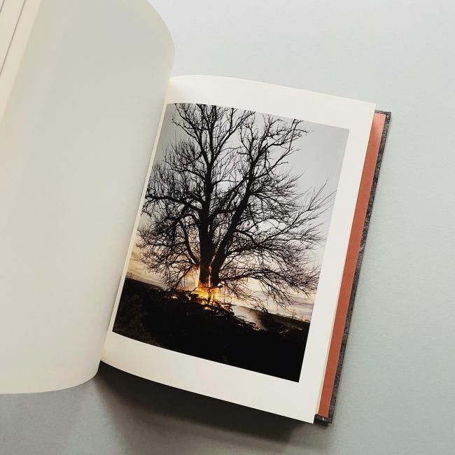 アート・デザイン・音楽 Redheaded Peckerwood Christian Patterson REDHEADED PECKERWOOD by Christian Patterson [THIRD EDITION