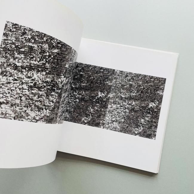 SOL LEWITT: fotografia ソル・ルウィット｜Sol LeWitt ソル