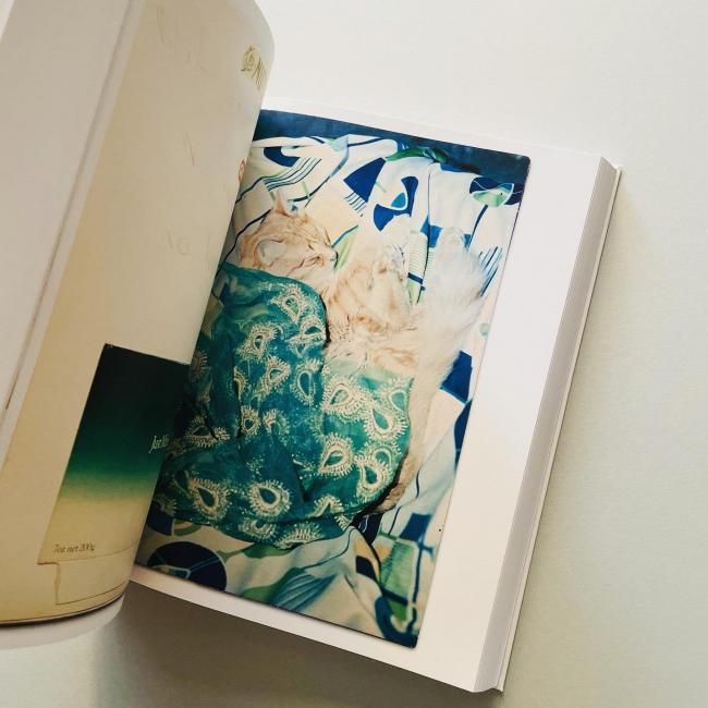 【2025A/W新作★送料無料】 Scrapbooks ヴァルター・ファイファー Pfeiffer Walter 1969-1985: アート・デザイン・音楽