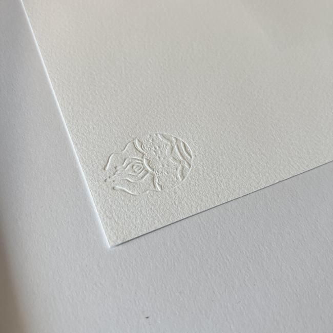 松井冬子 Fuyuko Matsui | 無傷の肖像 Virgin Portrait 額作品 版画