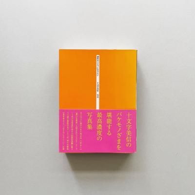 SIGNED〉視線 The Look|橋口譲二 George Hashiguchi SIGNED〉視線 The Look|橋口譲二 George Hashiguchi