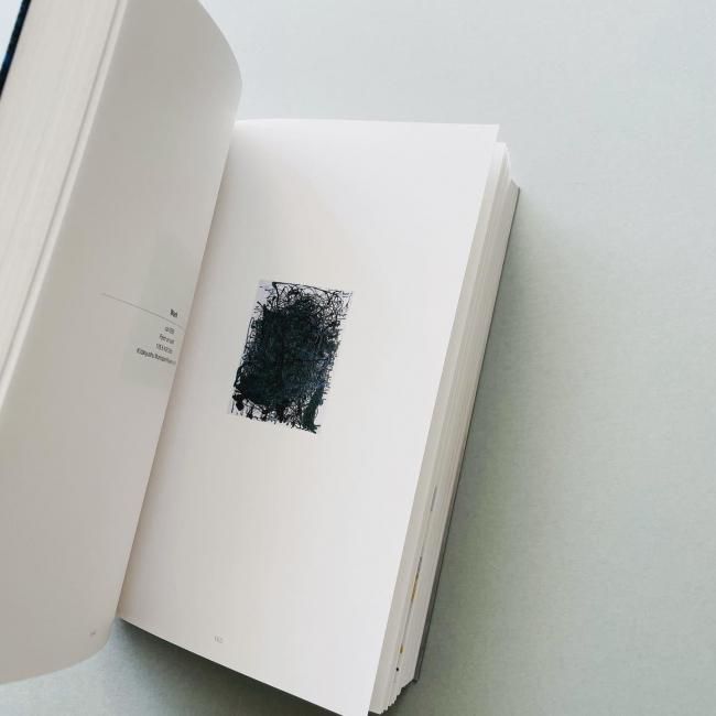 金山明 AKIRA KANAYAMA CATALOGUE RAISONNE 2015