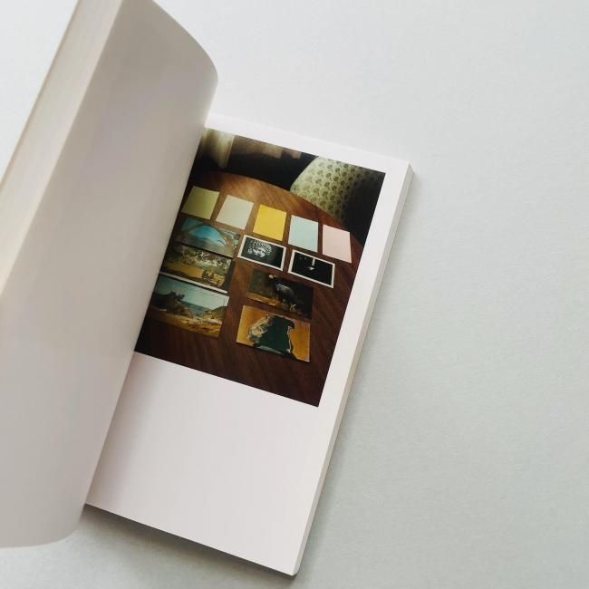 Buy The Mushroom Collector by Jason Fulford Online – Setanta
