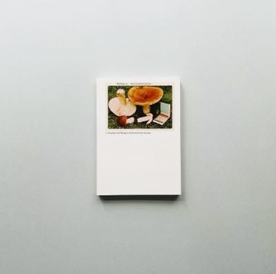 The Mushroom Collector<br>Jason Fulford<br>󡦥եե