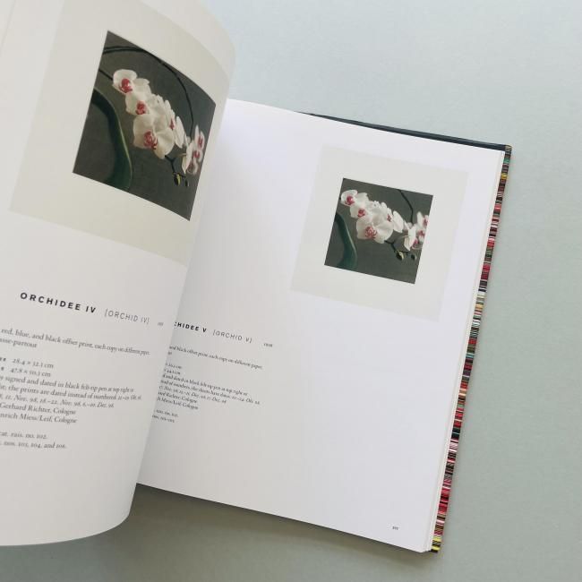 Gerhard Richter: Editions 1965-2013 カタログレゾネ