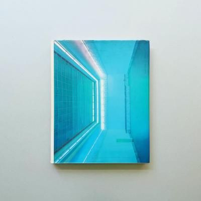 Dan Flavin Neue Anwendungen fluoreszierenden Lichts.<br>󡦥ե쥤