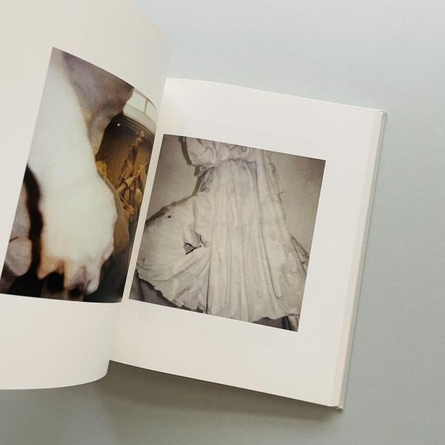 Cy Twombly Photographs: Lyrical Variations サイ