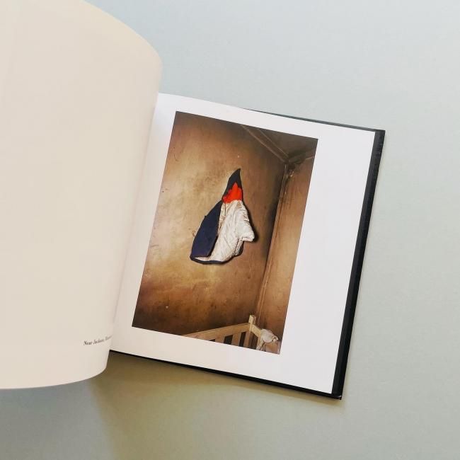 William Eggleston's guide｜William Eggleston ウィリアム