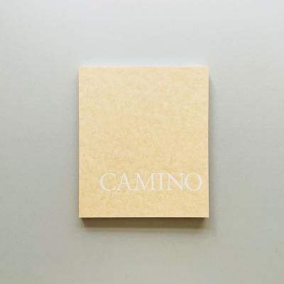 CAMINO ζʿ<br>Ryuhei Nakagawa