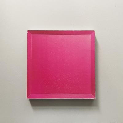 MIND GARDEN<br>Fukushima Noriyasu <br>Project 5 ݤ<br>ʡɶ