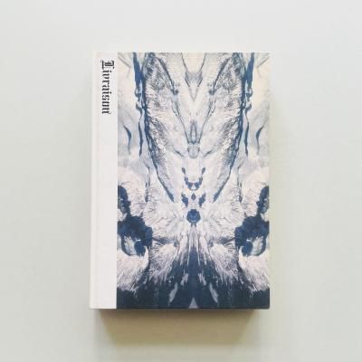 Livraison N4: Open Landscapes<br>Closed Rooms<br>MELANIE BONAJO, OLA RINDAL<br>¼, THOMAS STRUTH