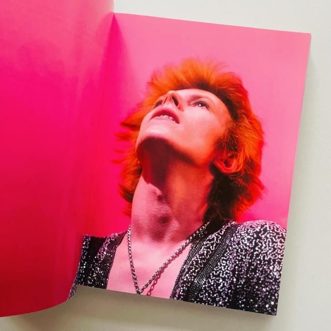 The Rise of David Bowie,デビッドボウイ Limited edition〉The Rise of David Bowie 1972-1973