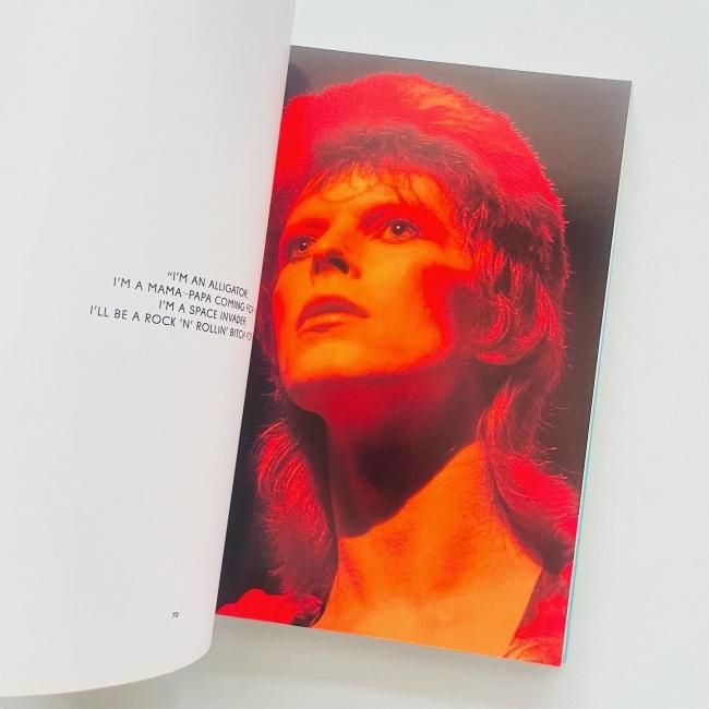 The Rise of David Bowie,デビッドボウイ Limited edition〉The Rise of David Bowie 1972-1973