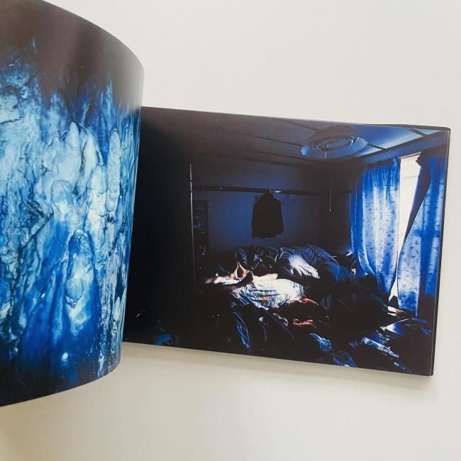 志賀 理江子 CANARY カナリア Lieko Shiga CANARY カナリア｜志賀理江子 LIEKO SHIGA