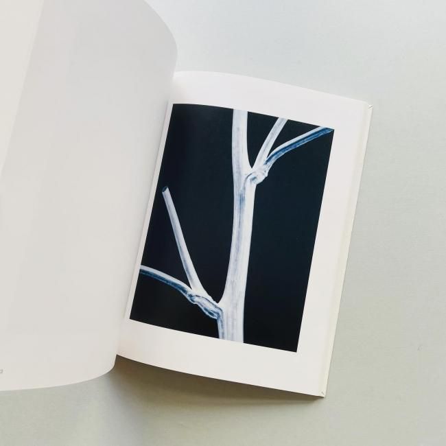 Thomas Ruff トーマス・ルフ｜東京国立近代美術館 金沢21世紀美術館