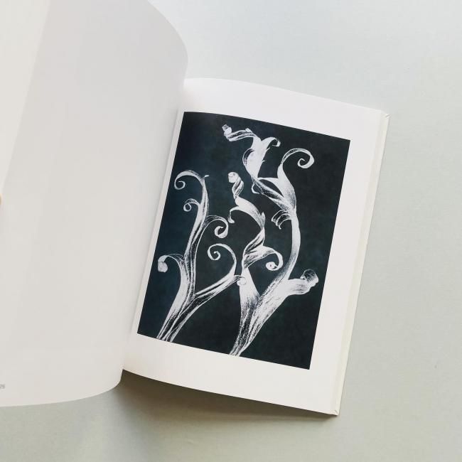 Thomas Ruff トーマス・ルフ｜東京国立近代美術館 金沢21世紀美術館