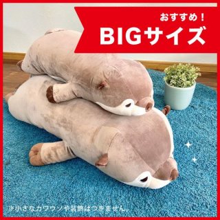 ͤͤ 臘Τ ץߥͤͤ BIG 復 ͤͤॢ˥ޥ륺  ̤  å