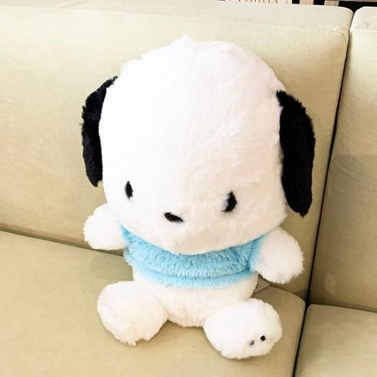サンリオ - 新品 サンリオ ほわほわ ポチャッコM ブルー ぬいぐるみ Amazon.co.jp: ナカジマコーポレーション ほわほわ ポチャッコ M