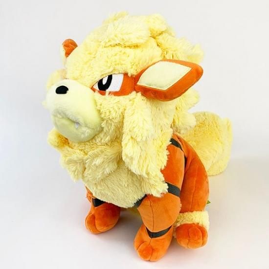 ポケットモンスター ビックモア！(Big More!) ウィンディ