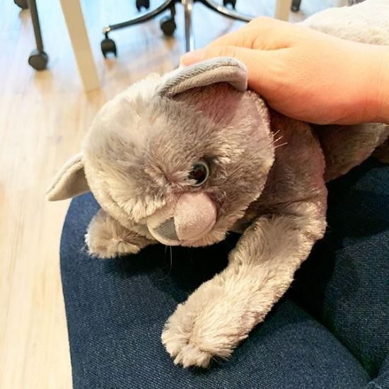 最高の なでなで猫ちゃんkeiー3 商品説明】なでなでねこちゃんDX3_