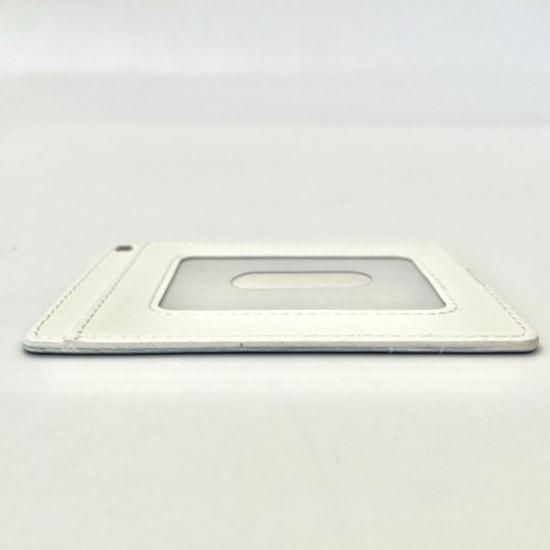 エヴァンゲリオン レイ EVANGELION 綾波レイ フルカラーパス エヴァンゲリオン レイ EVANGELION 綾波レイ フルカラーパス