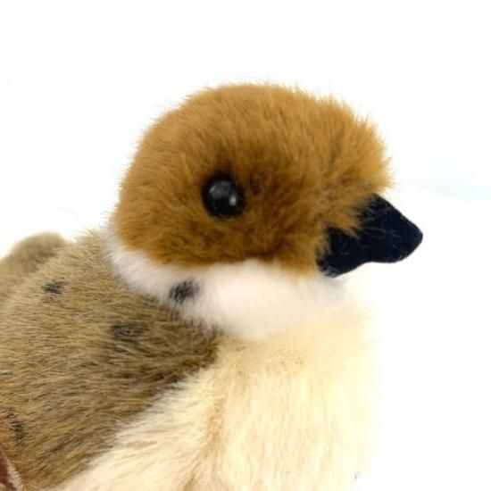 りくのなかまたち すずめ スズメ ぬいぐるみ ブラウン 手乗り