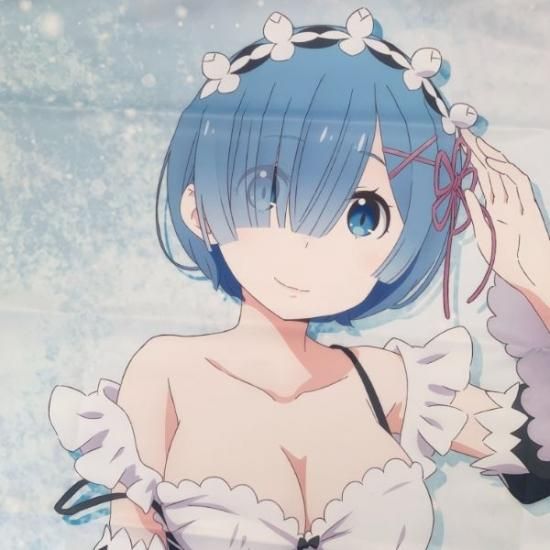 Re:ゼロから始める異世界生活 レム レム ドキドキ 100cm