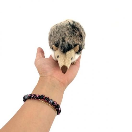 ぬいぐるみ ハリネズミ りくのなかまたち ぬいぐるみ ハリネズミ りくのなかまたち