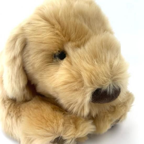 ぬいぐるみ S ゴールデンレトリバー 犬 動物