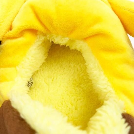 Eevee pikachu