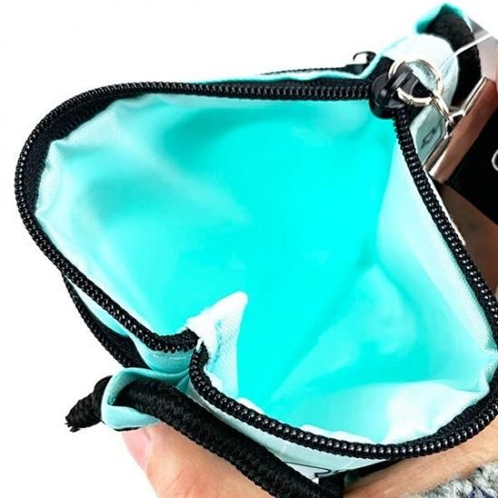 ドラえもん 縦型ショルダーバッグ どこでもドア ミント バッグ ポシェット スマホケース Iphoneケース