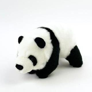 �꤯�Τʤ��ޤ��� �ѥ�� ���ɥ� ���ߤΤʤ��ޤ��� ���� ����ƥꥢ