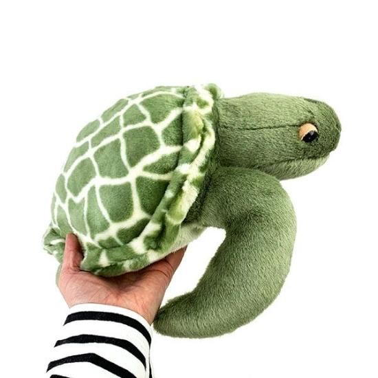 Amazon.co.jp: ウミガメ リクガメ カメグッズ 8点セット : Toys