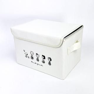 ���̡��ԡ� �ե��դ��ޤ���߼�Ǽ�ܥå��� �����ܥ꡼ ��Ǽ�ܥå��� ���դ� ����ƥꥢ