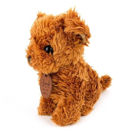ハーフ犬 チワプー (チワワ×トイプードル） ぬいぐるみ