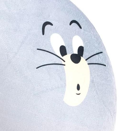 Tom & Jerry Cushion