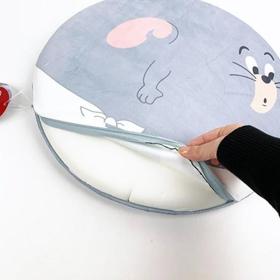 Tom & Jerry Cushion