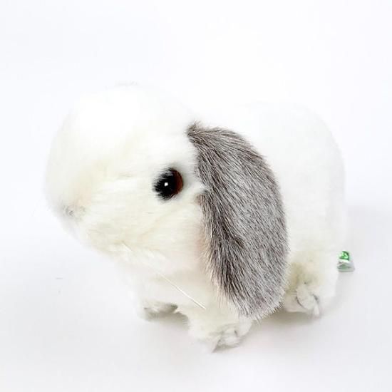 ロップイヤーうさぎ ぬいぐるみ