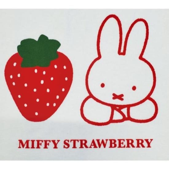 予約品】《3月中旬発売予定！入荷次第発送！》ミッフィー miffy