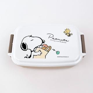 ���̡��ԡ� 1�ʥ����ܥå��� ���å� ������ �������� ���ش� �ع� ���ե��� ���å��� �١�����