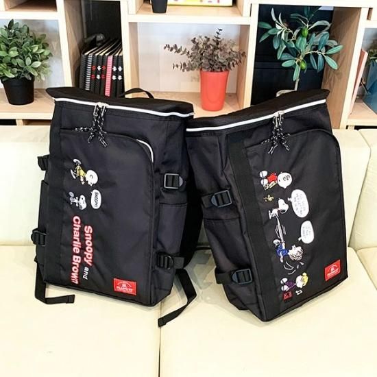 Snoopy box backpack and water bottle