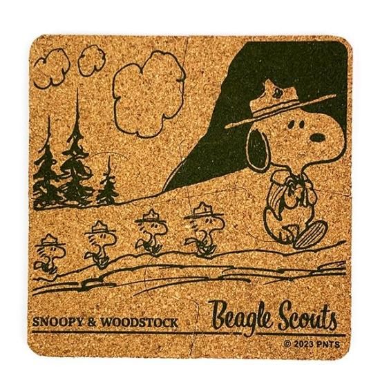 Snoopy Coaster