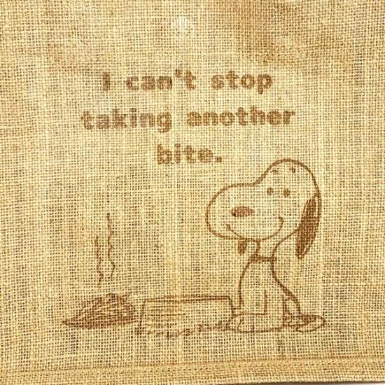 Snoopy's Bug