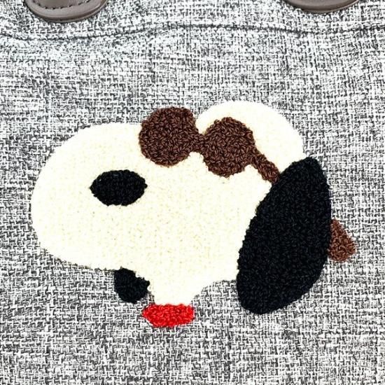 Snoopy's Bug