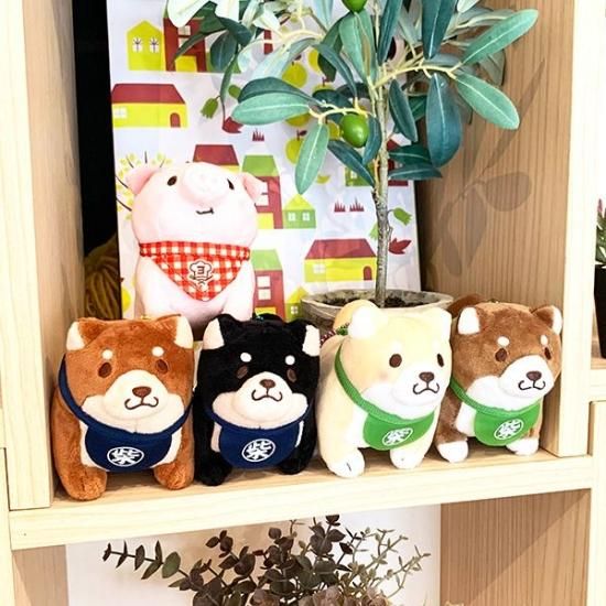 Amazon.co.jp: 【BESTEVER】犬 ぬいぐるみ リアル 仔犬 くたくた