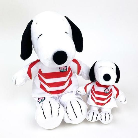 Cレア品☆ラグビー南アフリカ代表スプリングボックス ラグビー